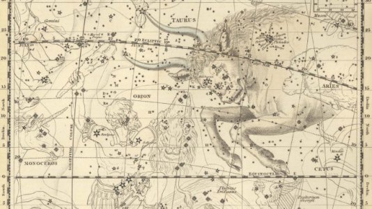 Taurus the Bull With Orion